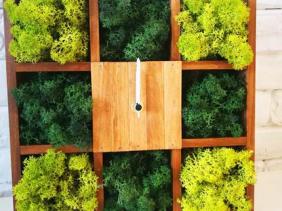 Scandinavian moss watch