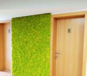 Green moss wall in B-EYE's office
