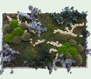 Ранна пролет - зелена картина серия MOSS wild