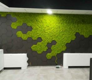 MOSS hexagons