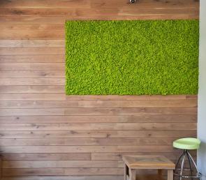 Green wall of preserved moss in a showroom