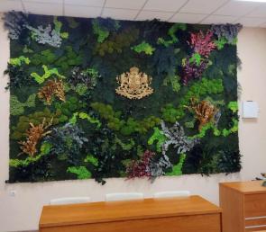 Vertical garden WILD in a conference hall - Kozloduy