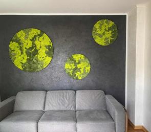 Circles of moss with a black frame